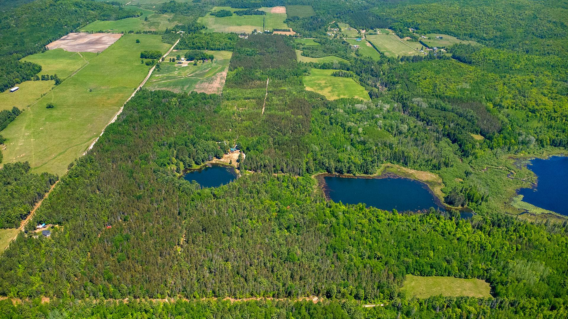 Overall View