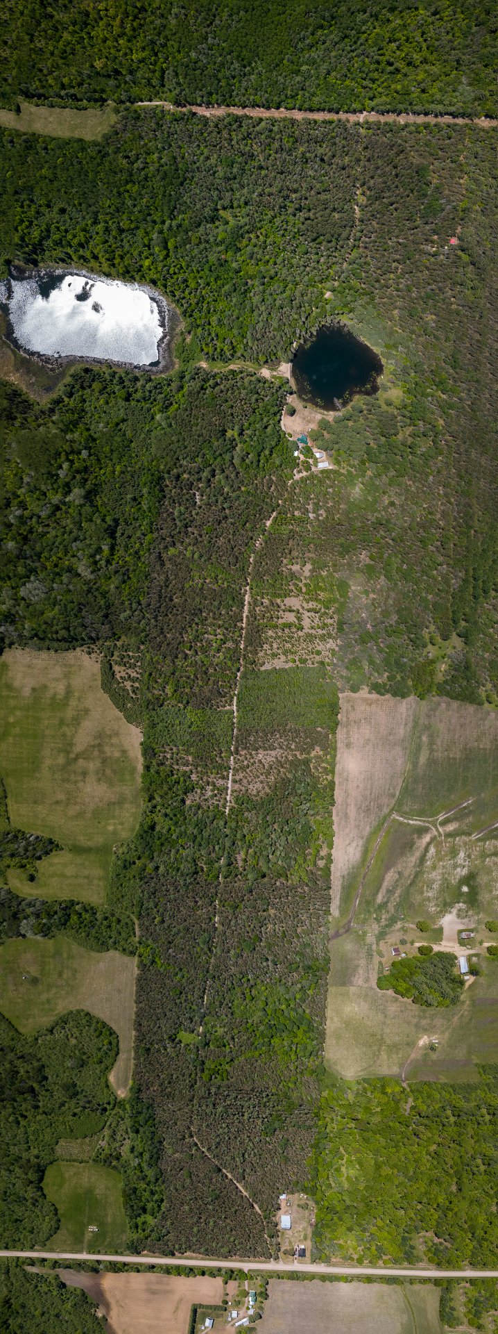 Overall View