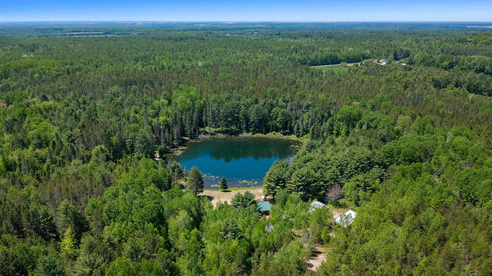 Overall View