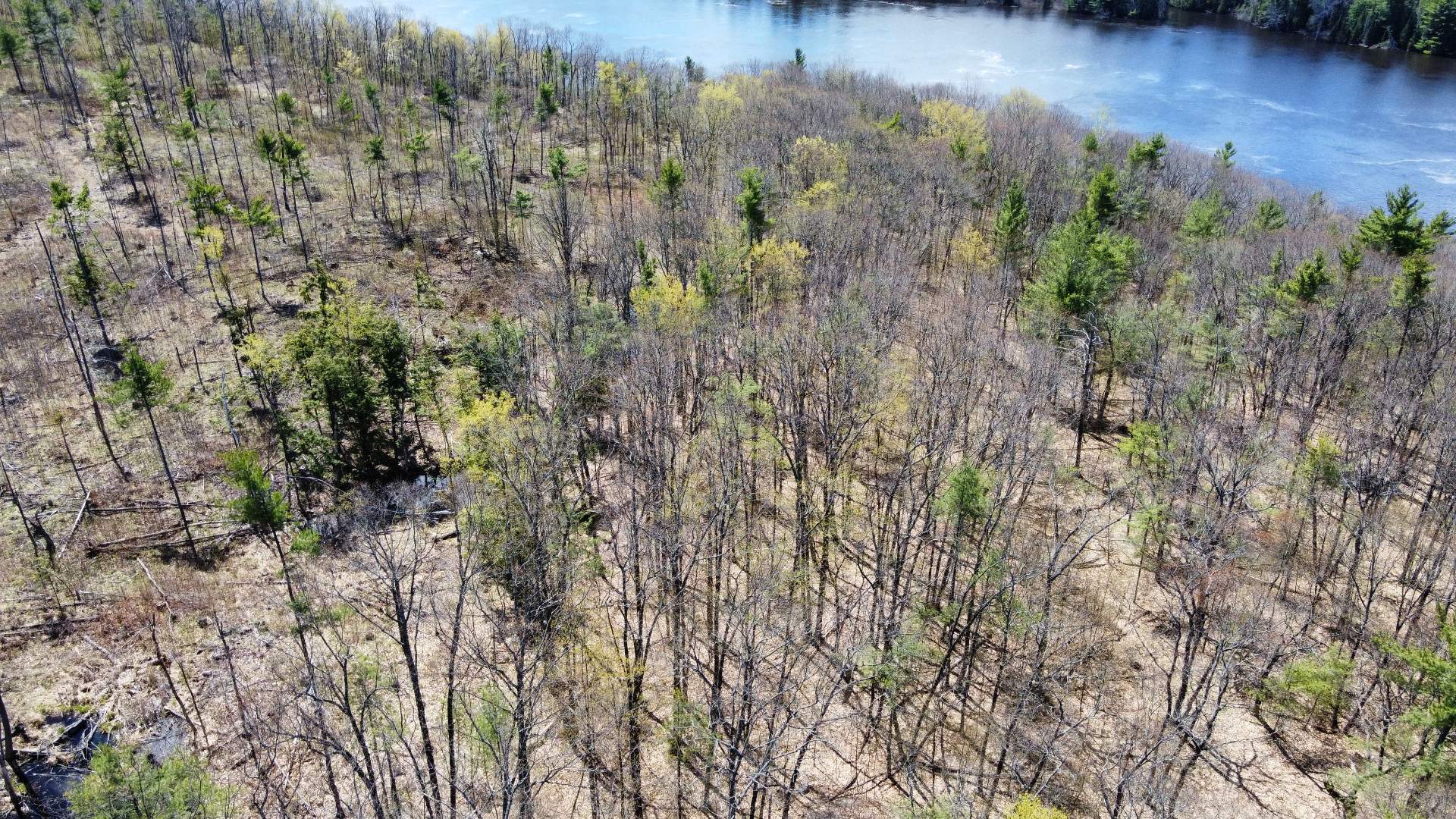 Aerial photo