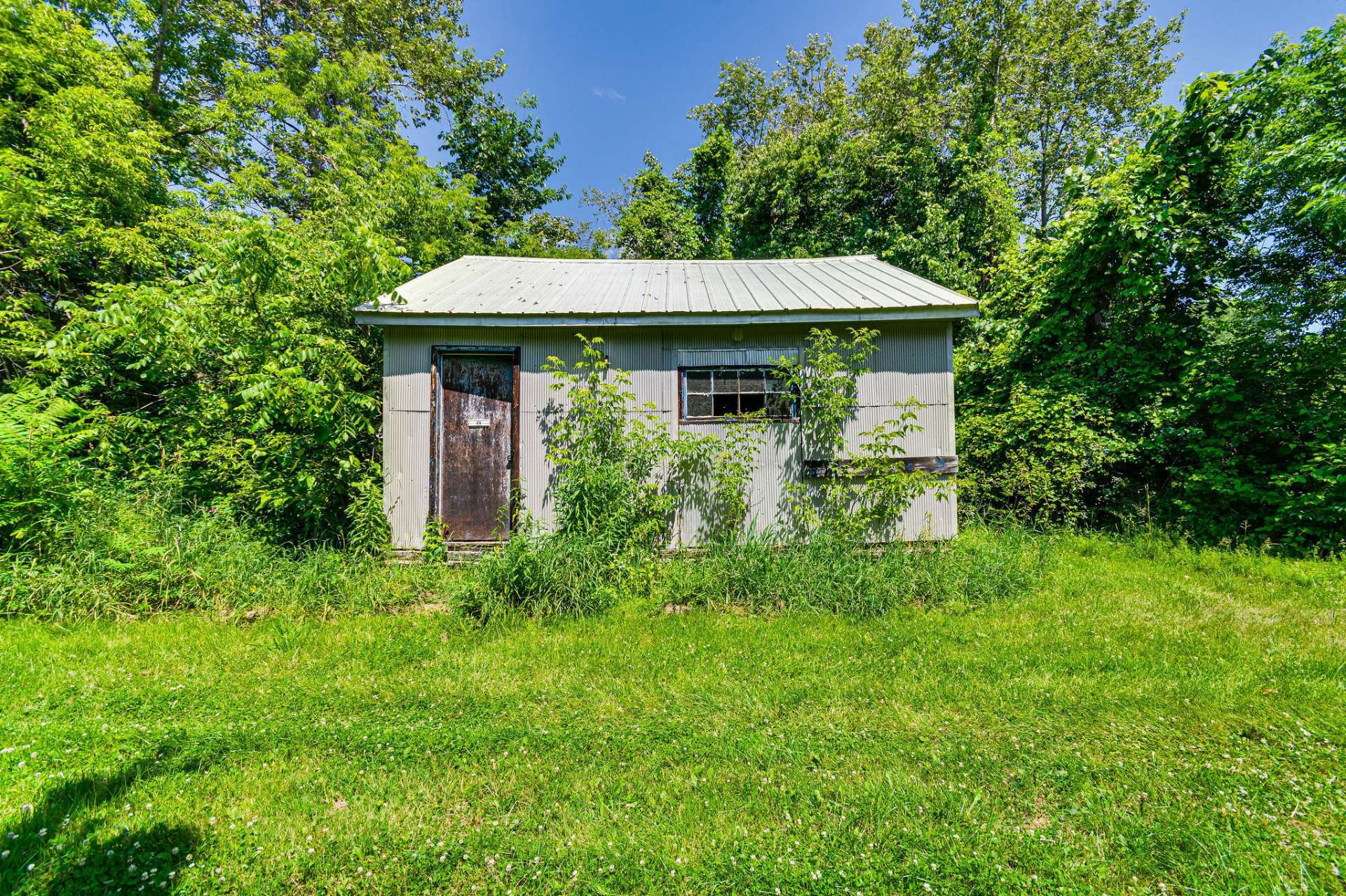 Shed
