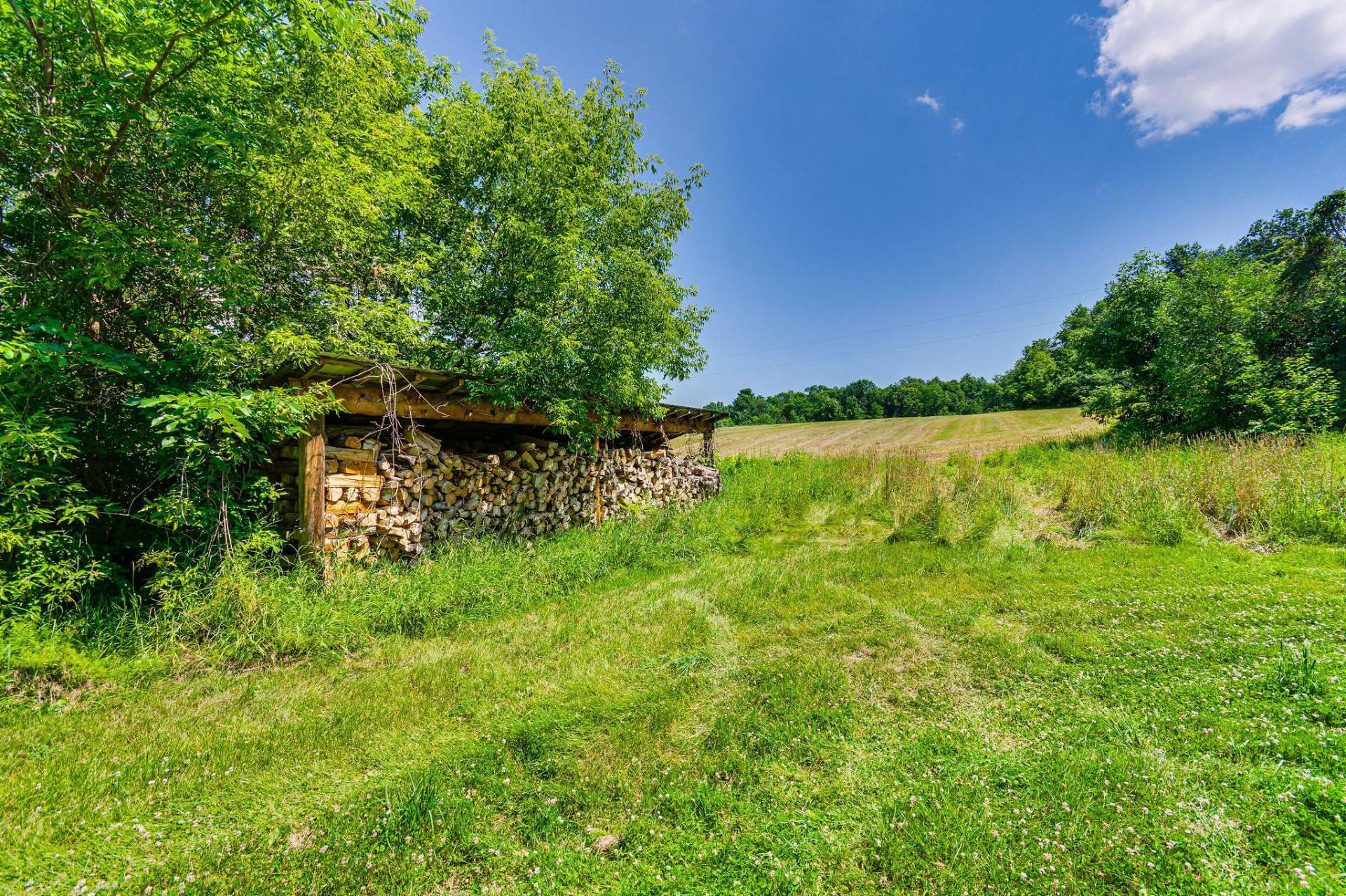 Land/Lot