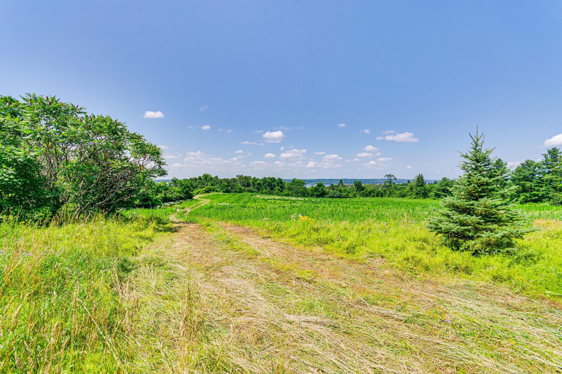 Land/Lot