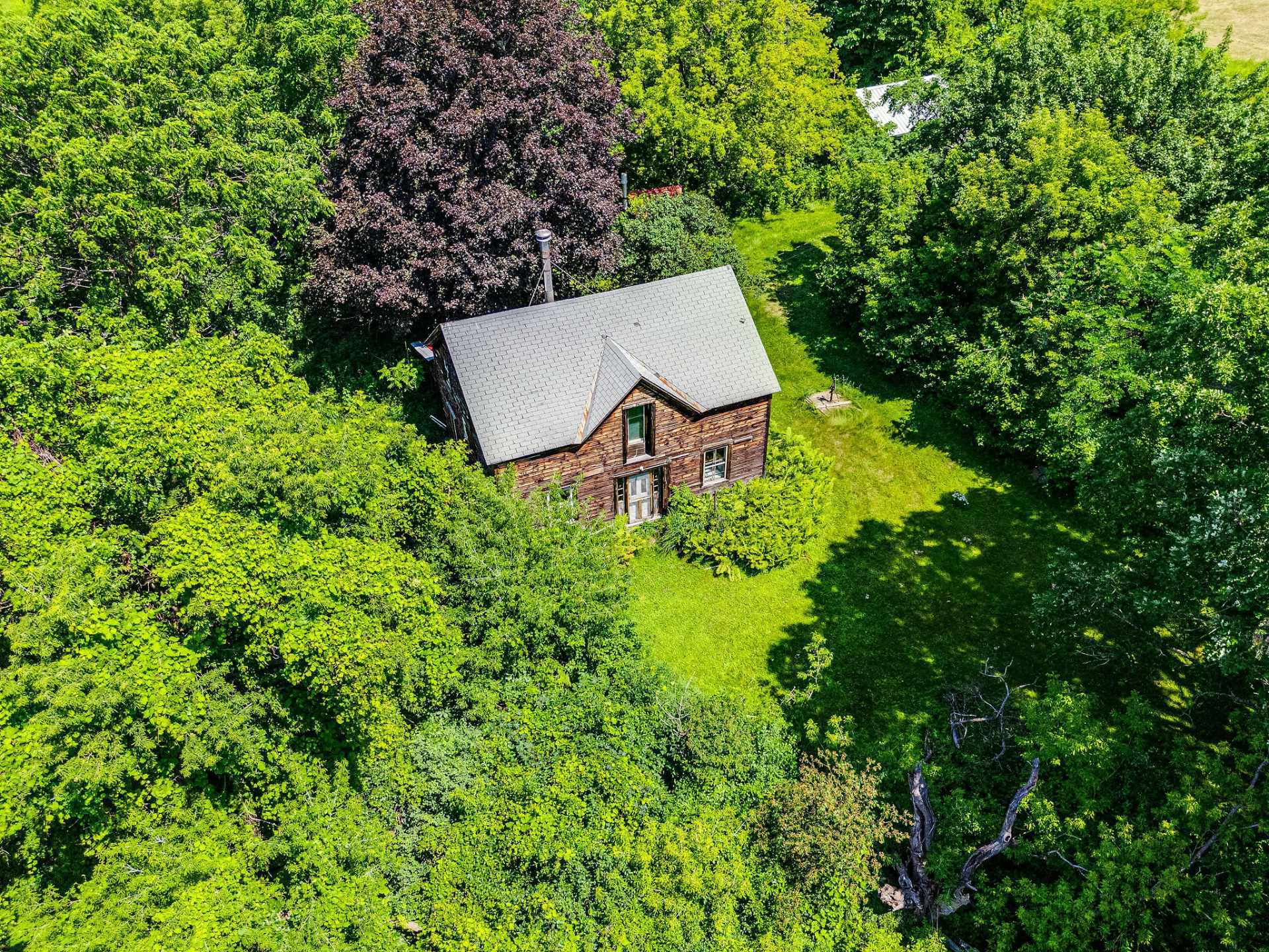 Overall view
