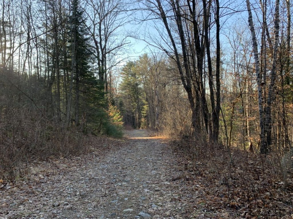 Land/Lot