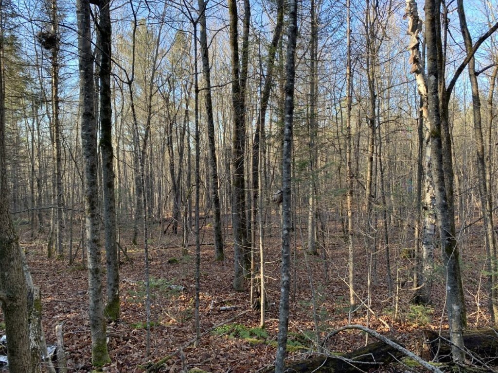 Land/Lot