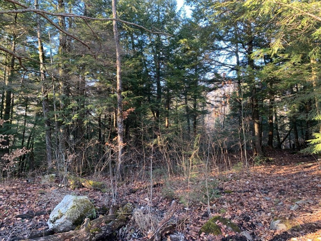 Land/Lot