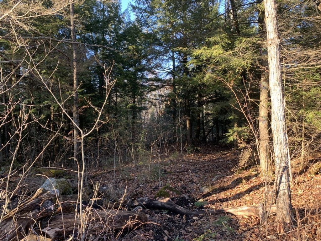Land/Lot