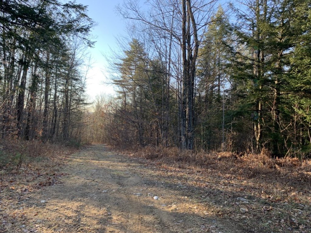Land/Lot