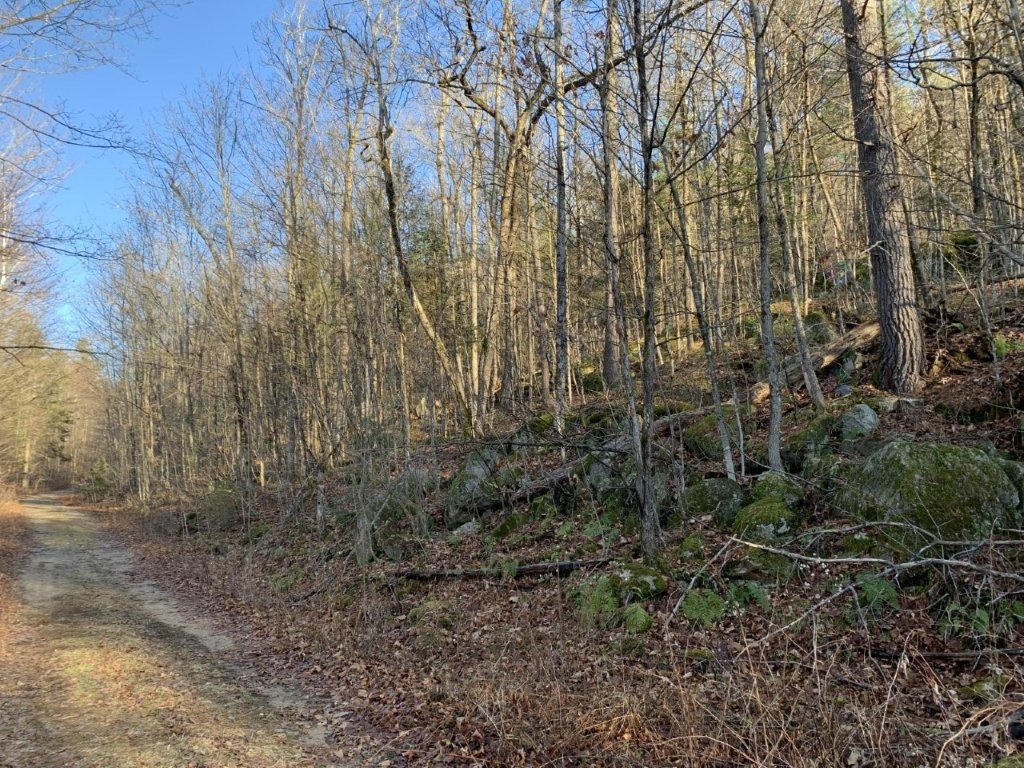 Land/Lot