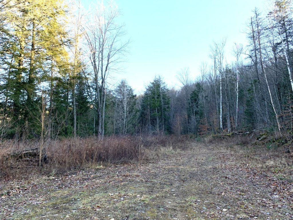 Land/Lot