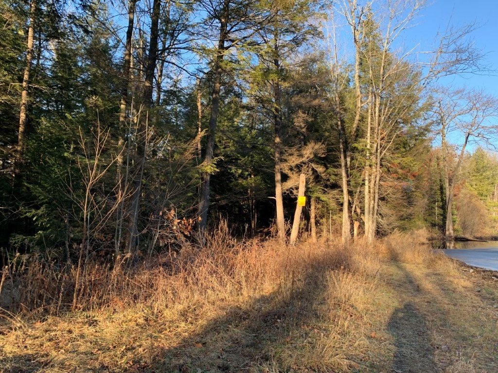 Land/Lot