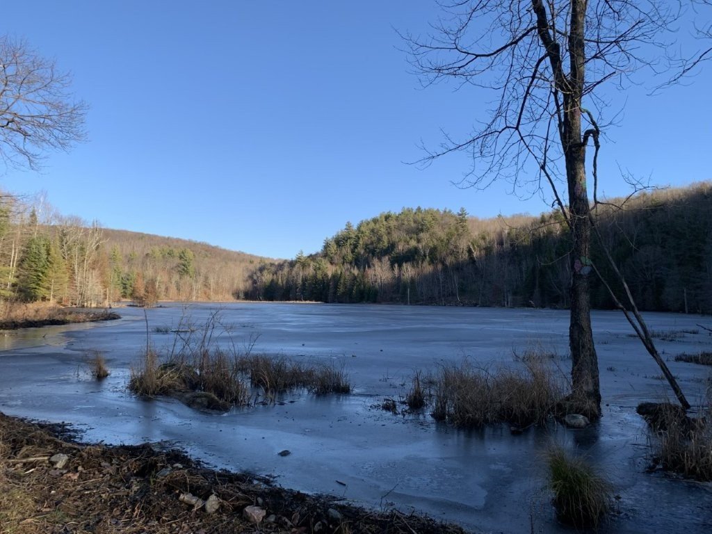 Land/Lot