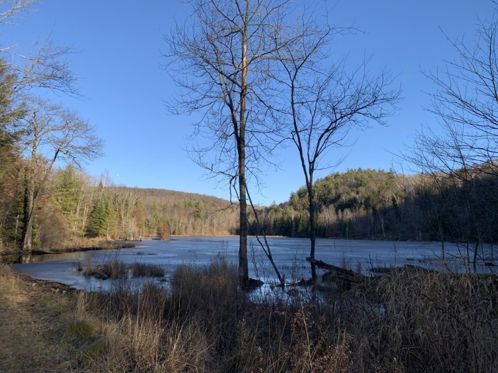 Land/Lot