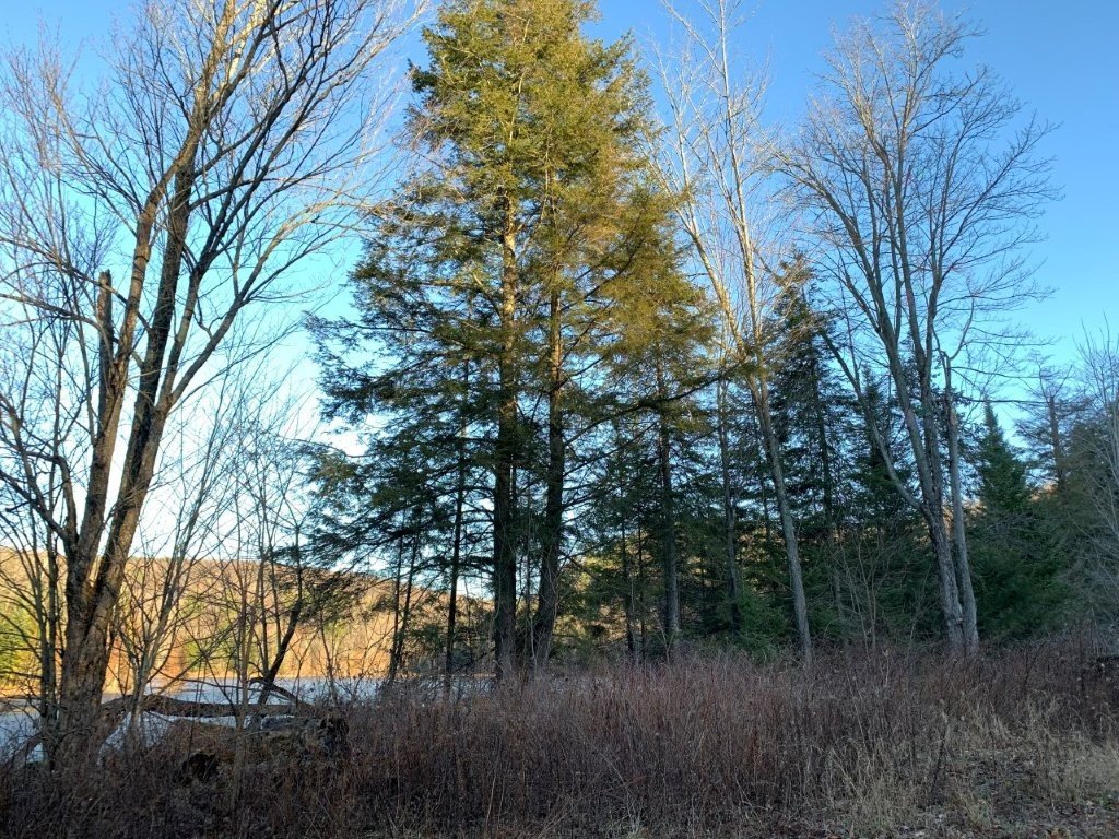 Land/Lot
