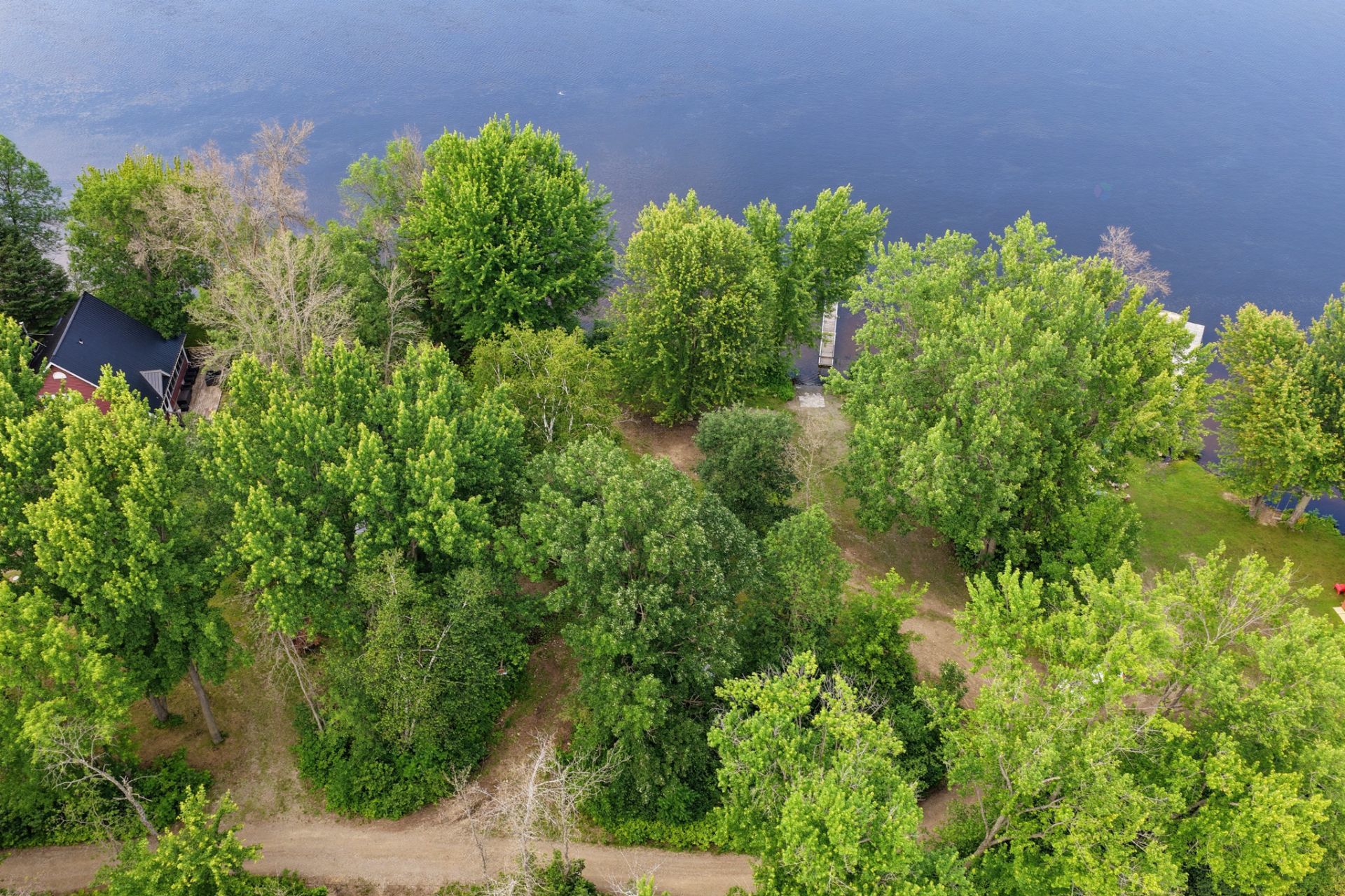 Aerial photo