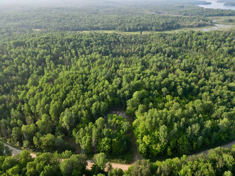 136 Ch. Petit-Lac-des-Cèdres N. 