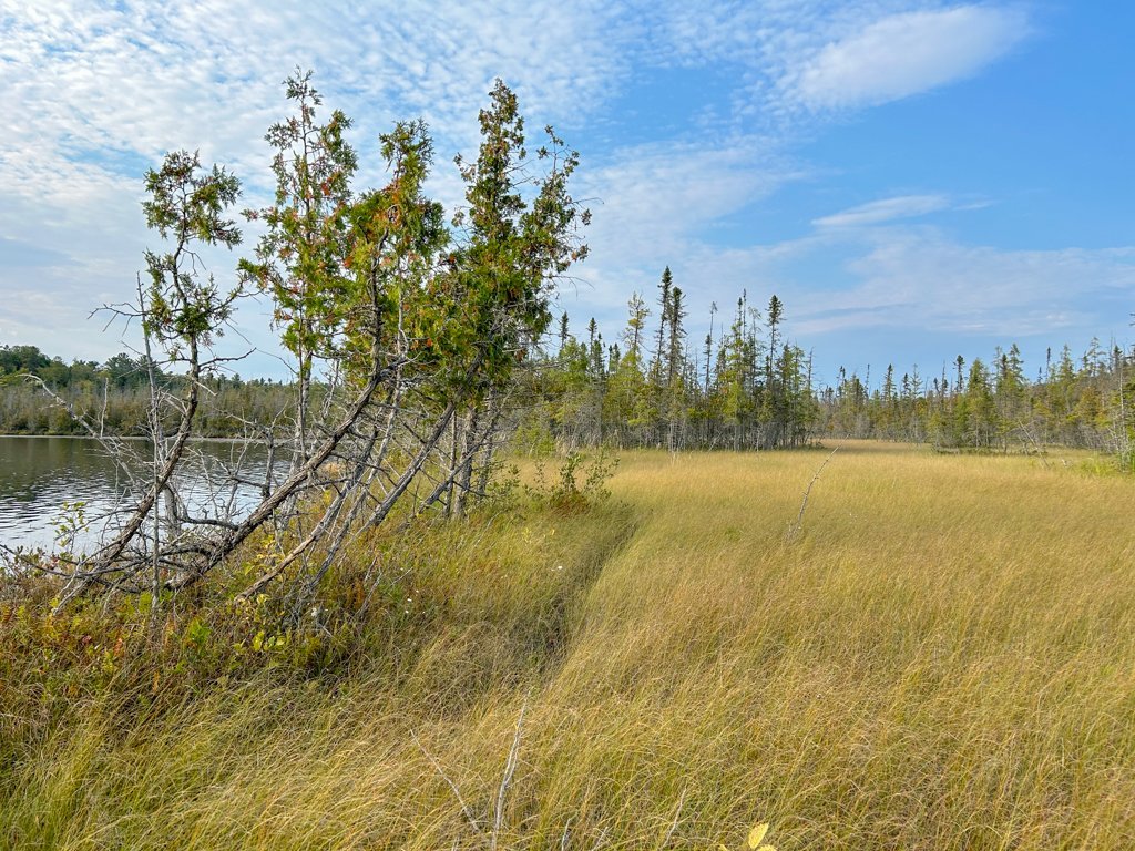 Bord de l'eau