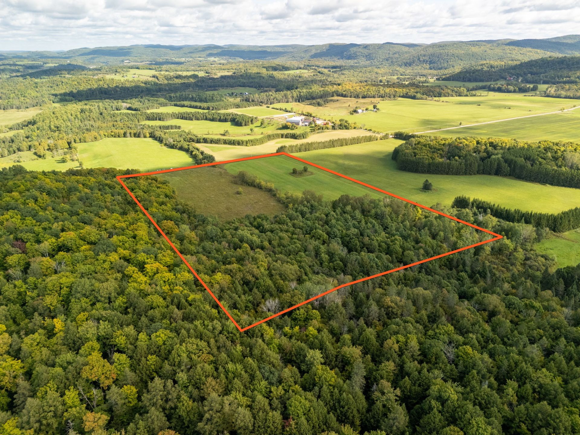 Aerial photo