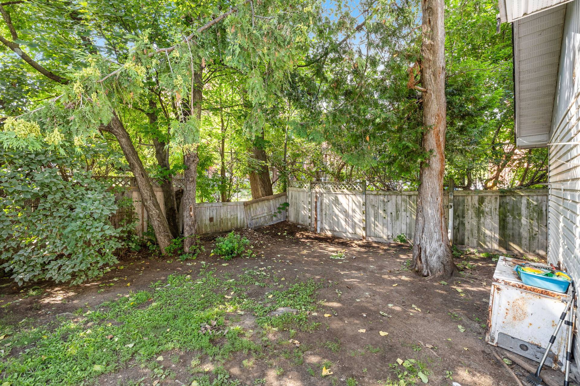 Backyard