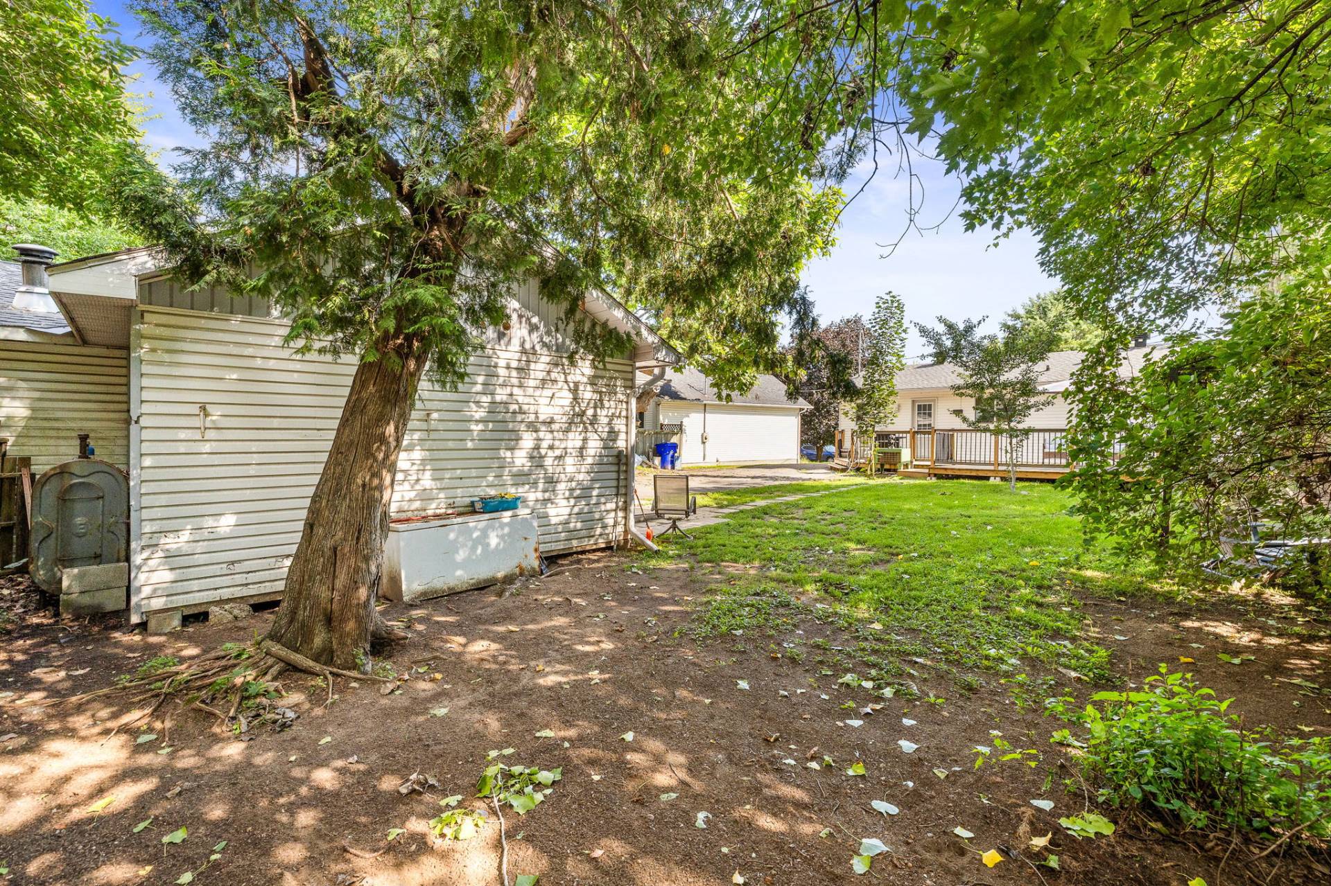 Backyard