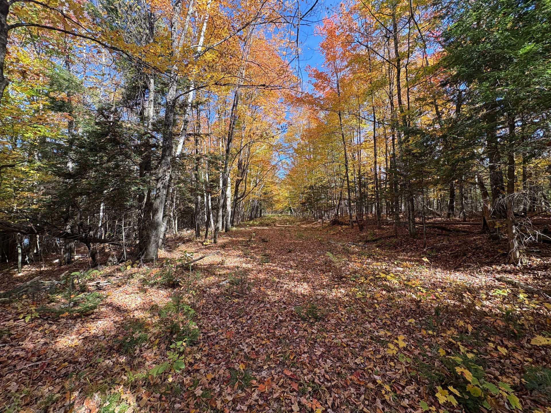 Land/Lot