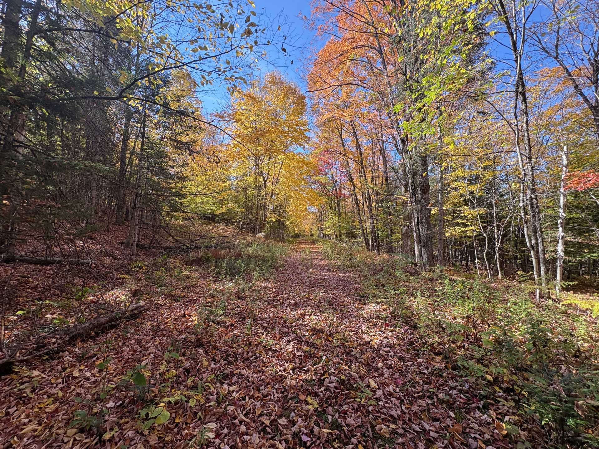 Land/Lot