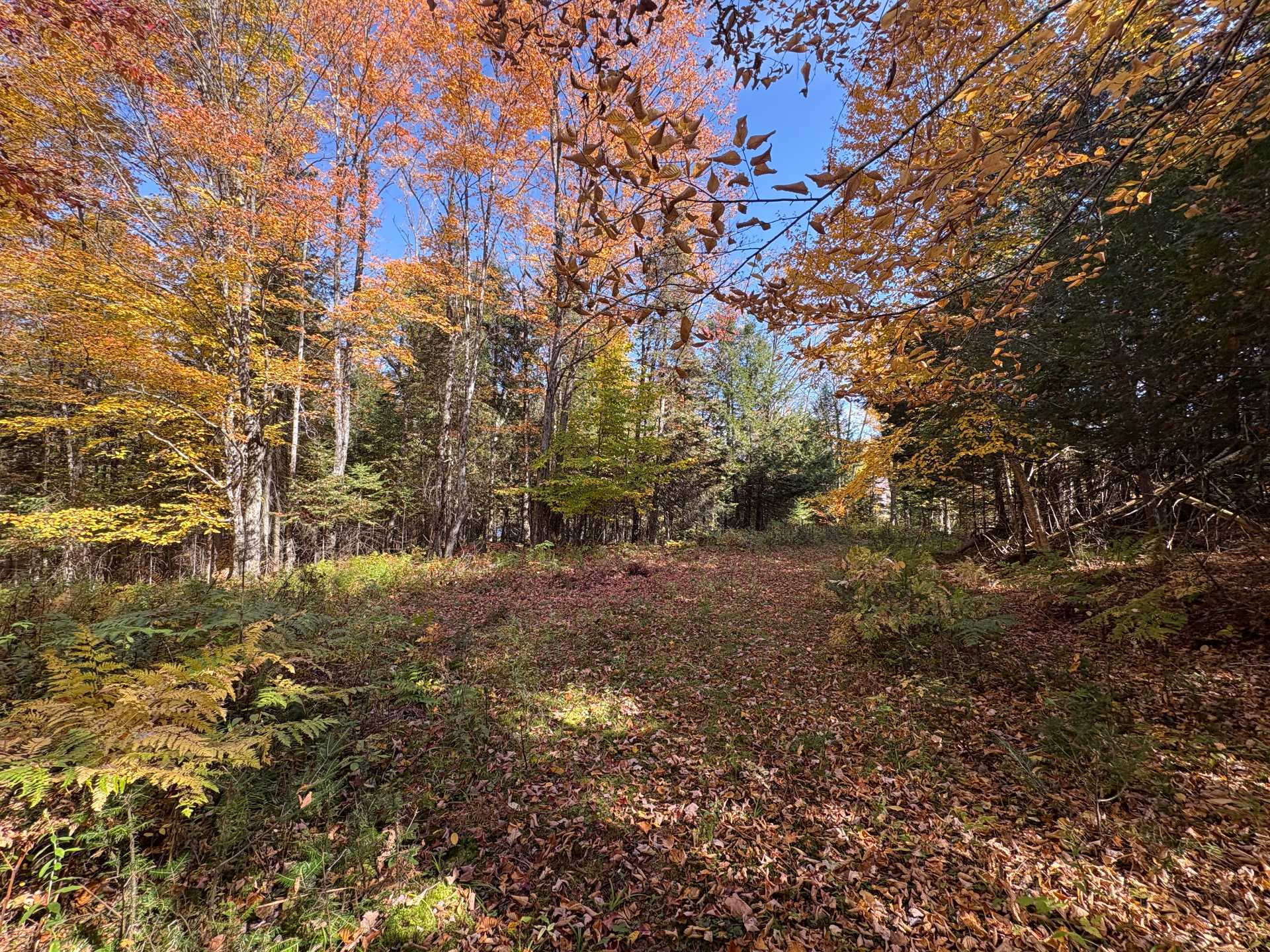 Land/Lot