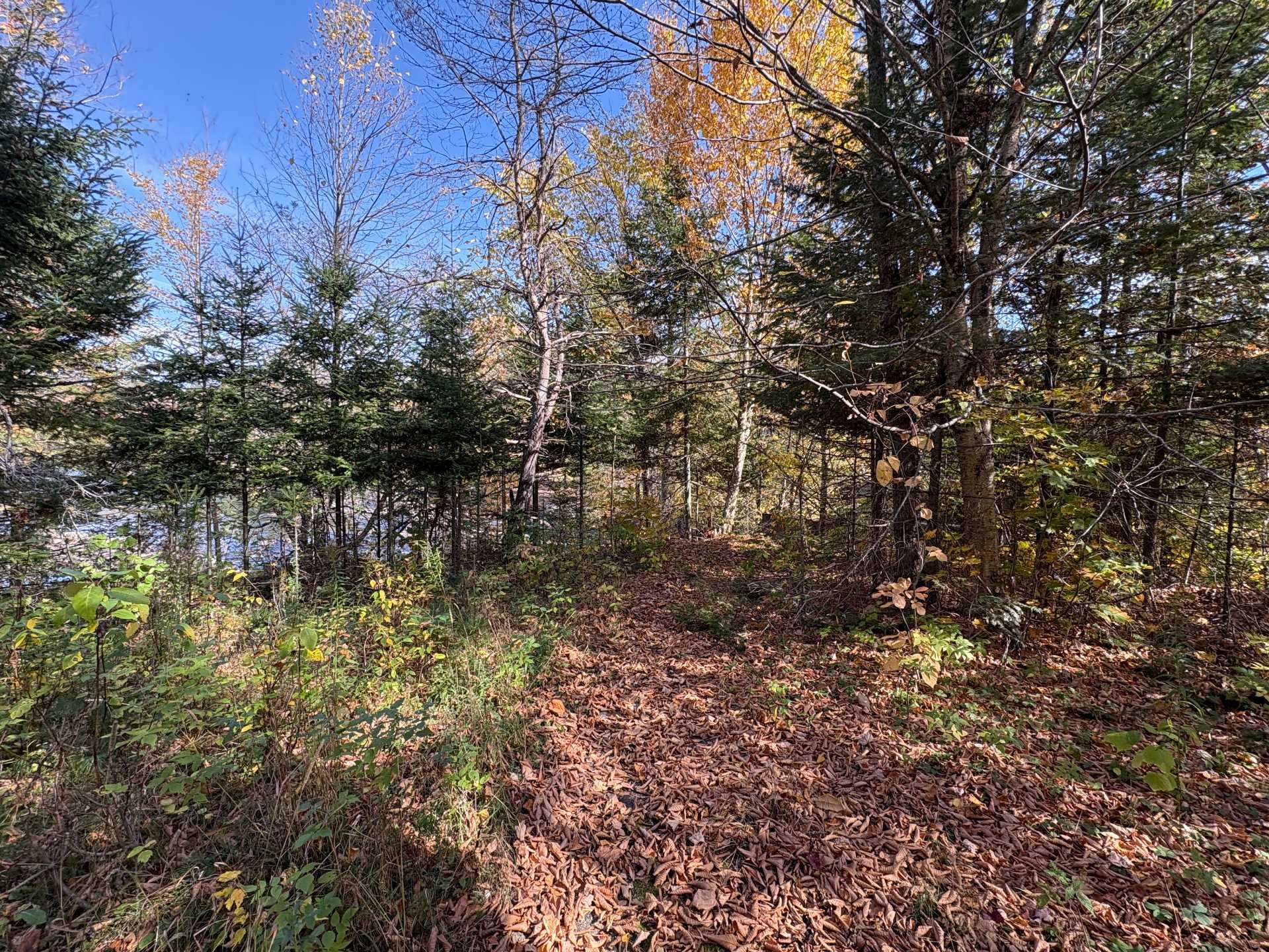 Land/Lot