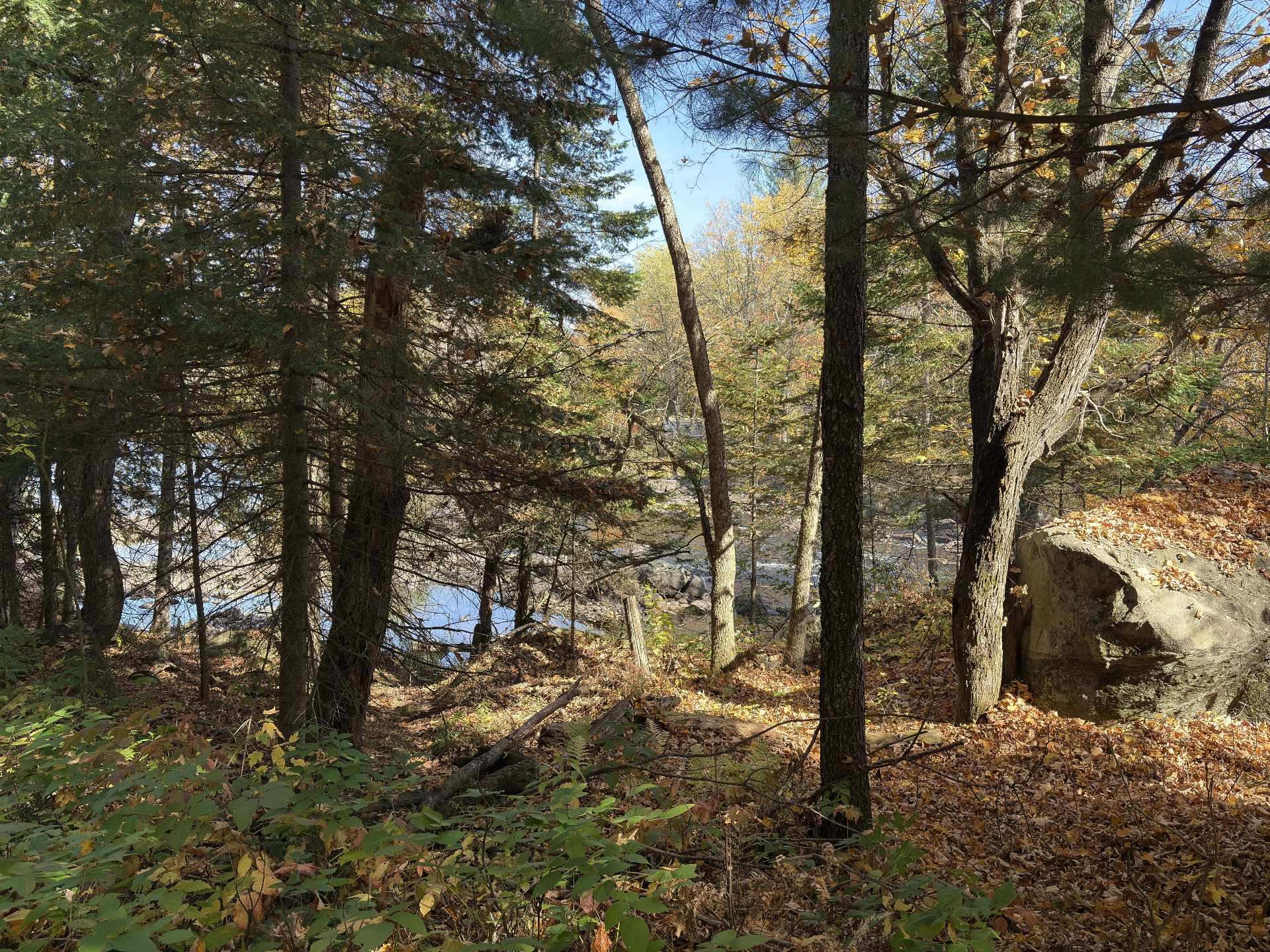 Land/Lot