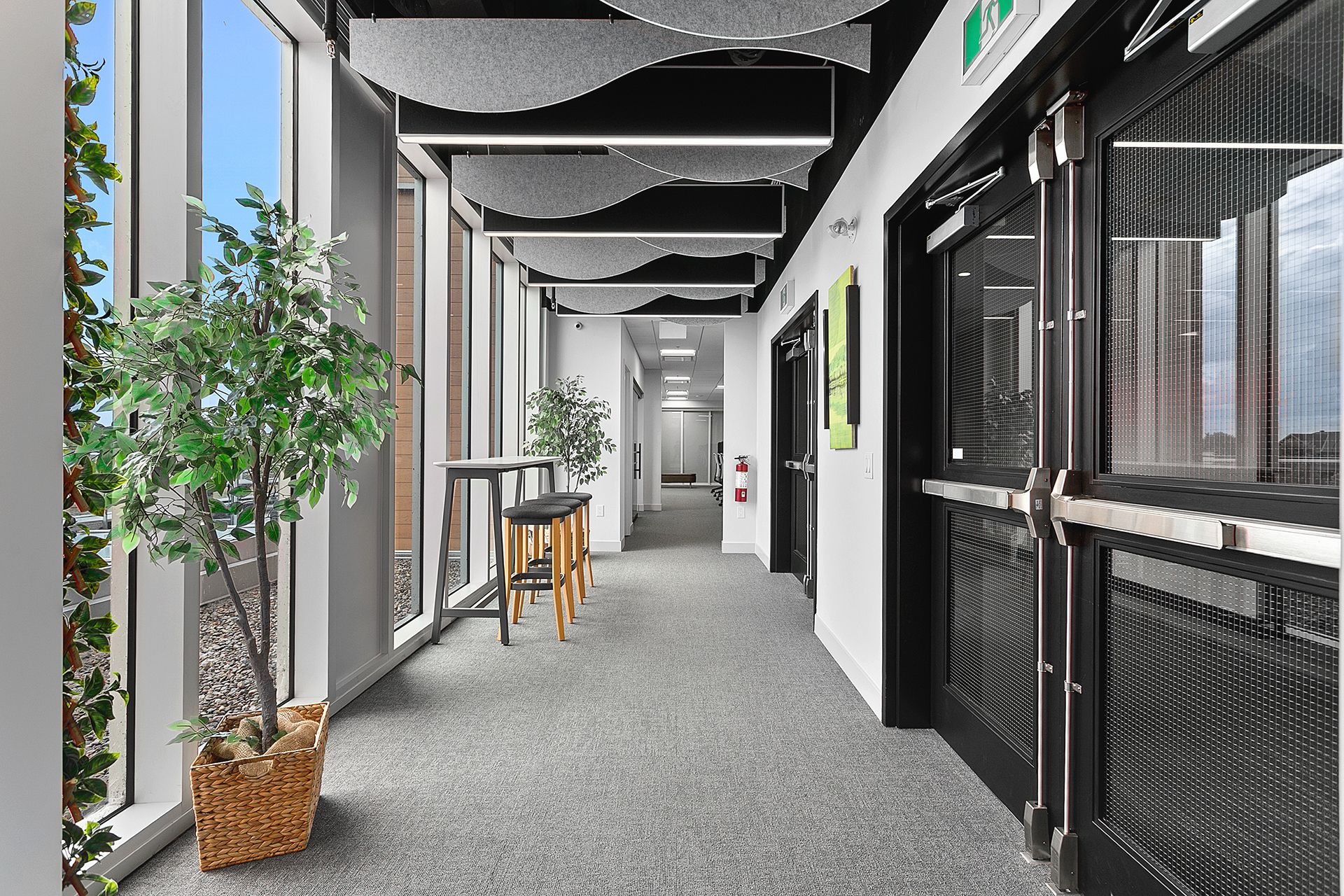 Hallway - Primary Entrance