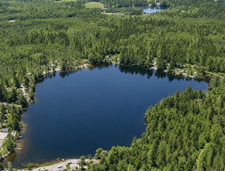 Water view