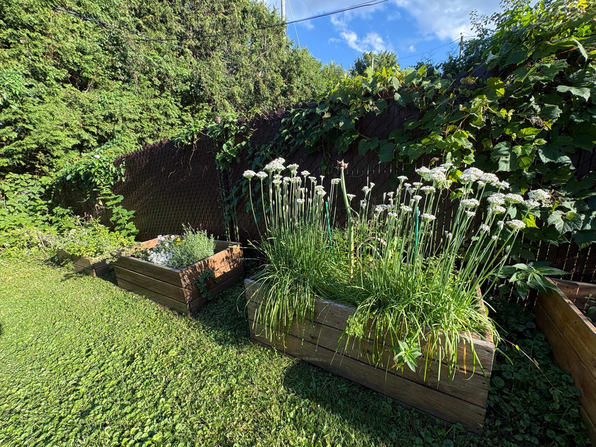 Jardin