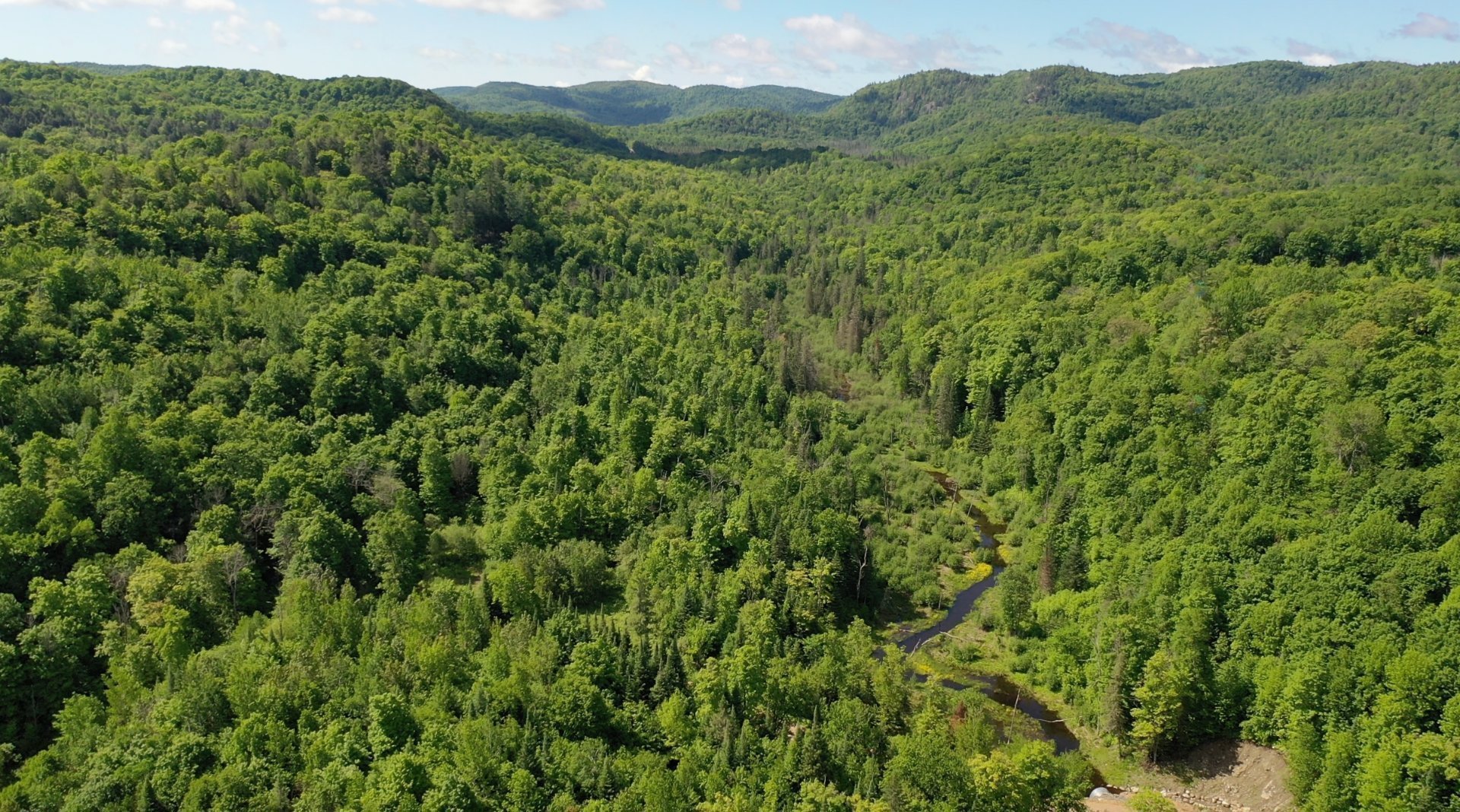 Overall view