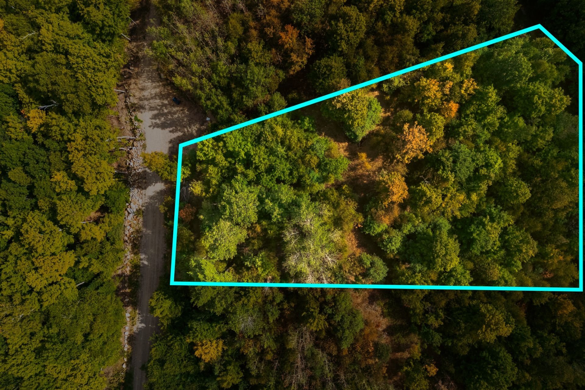Land/Lot