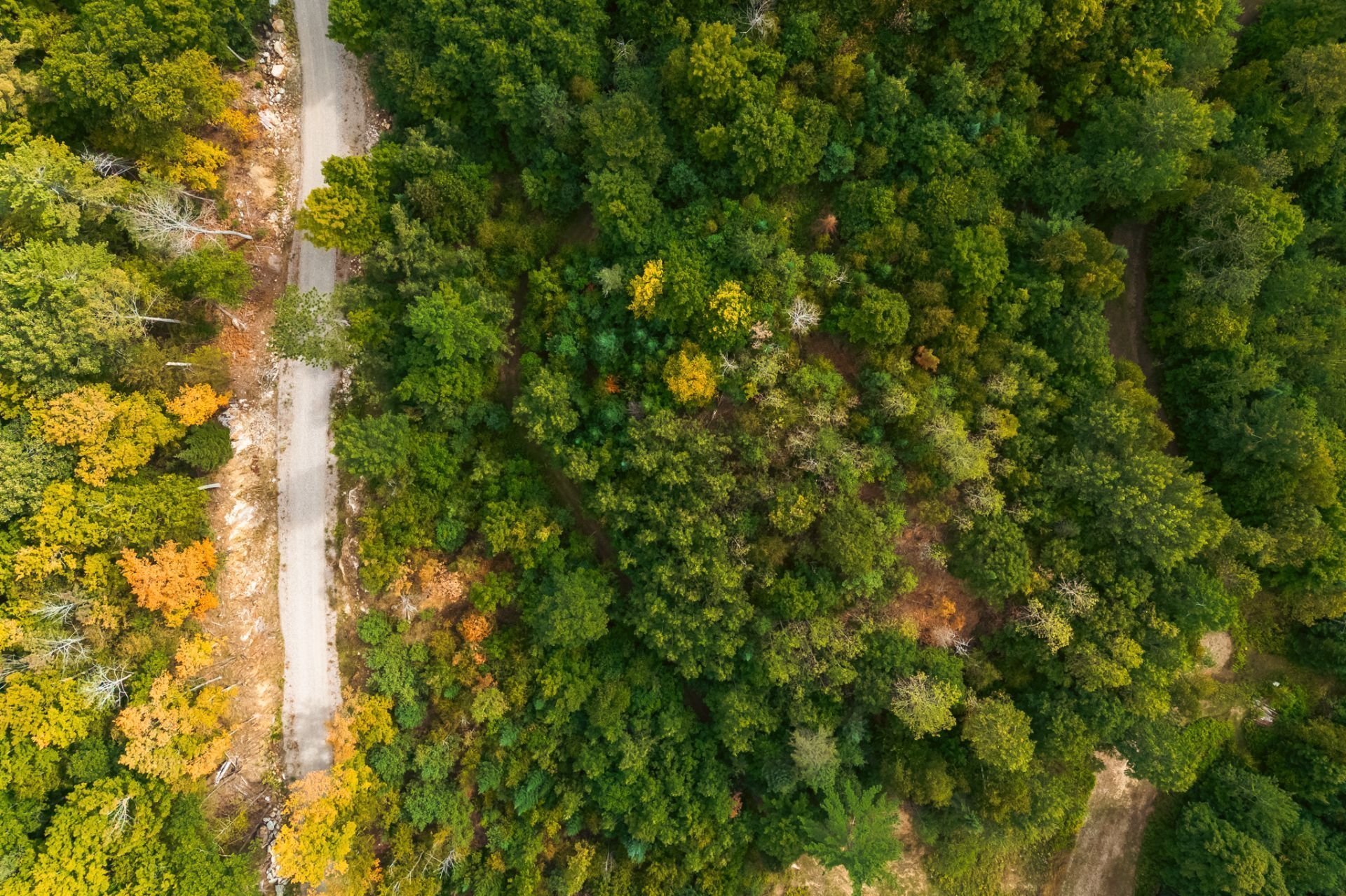 Land/Lot