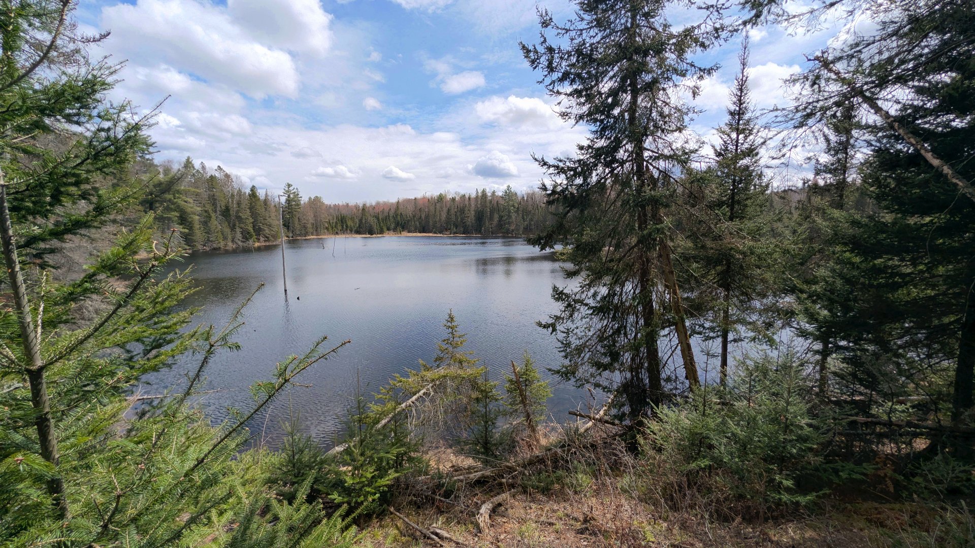 Water view