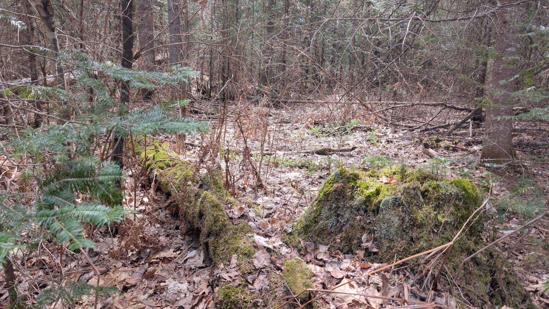 Land/Lot