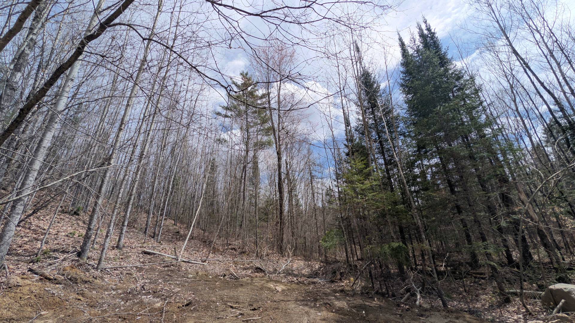 Land/Lot
