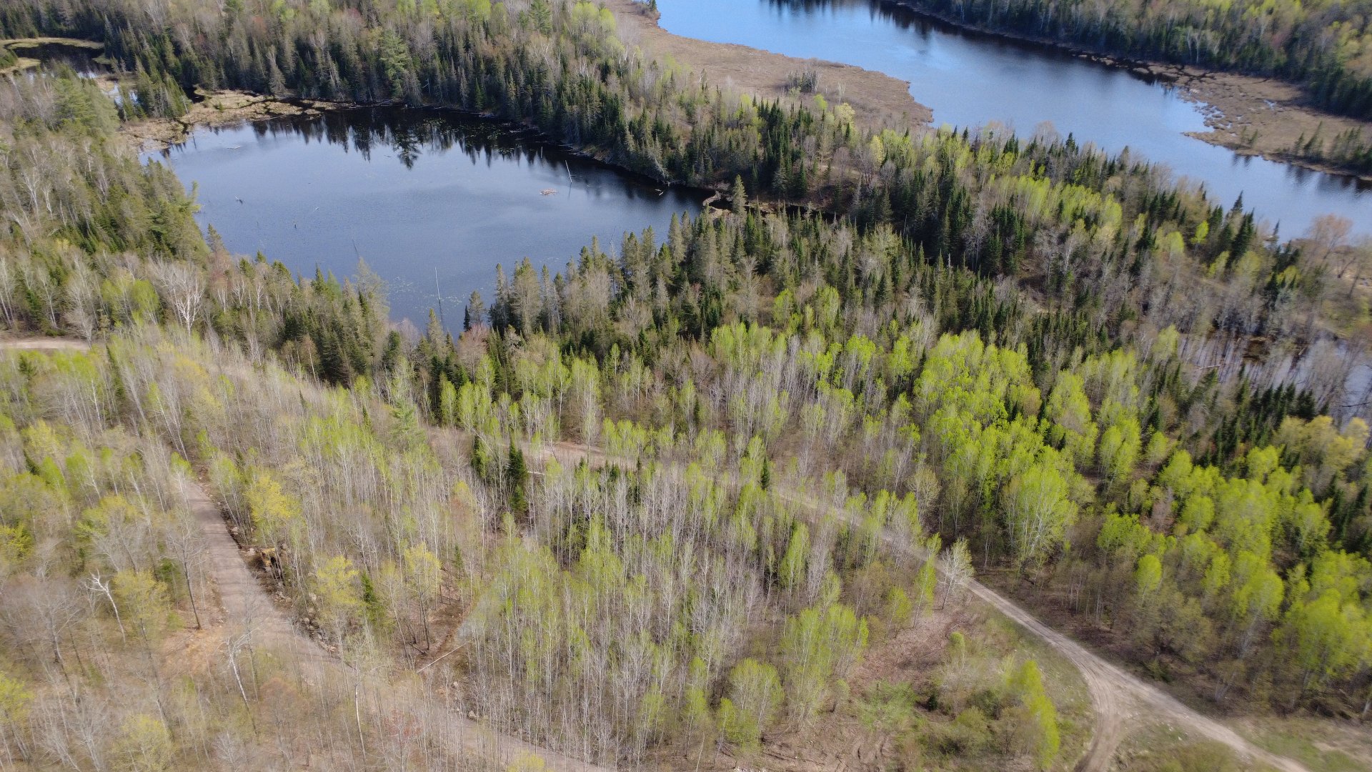 Aerial photo
