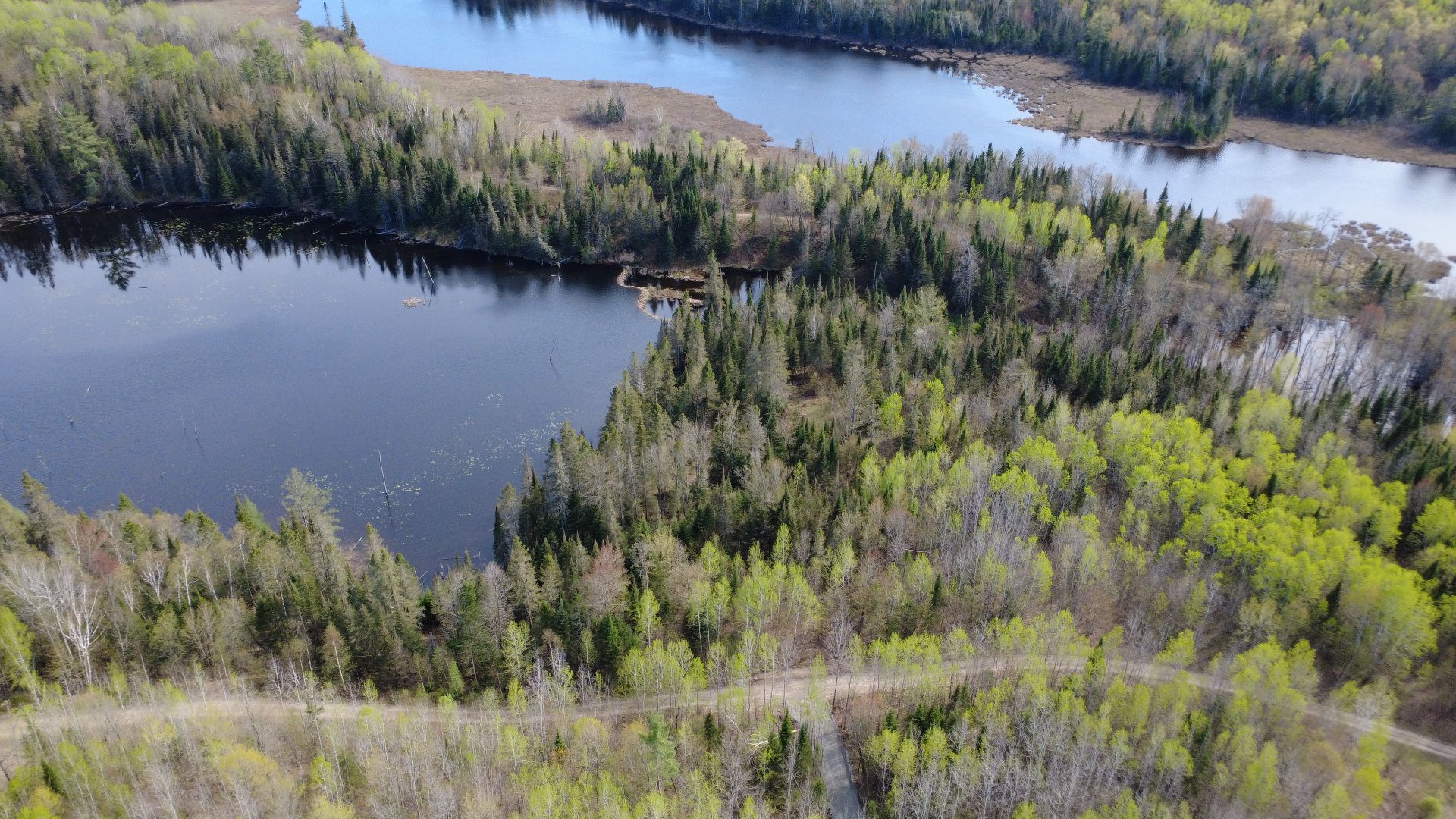 Aerial photo