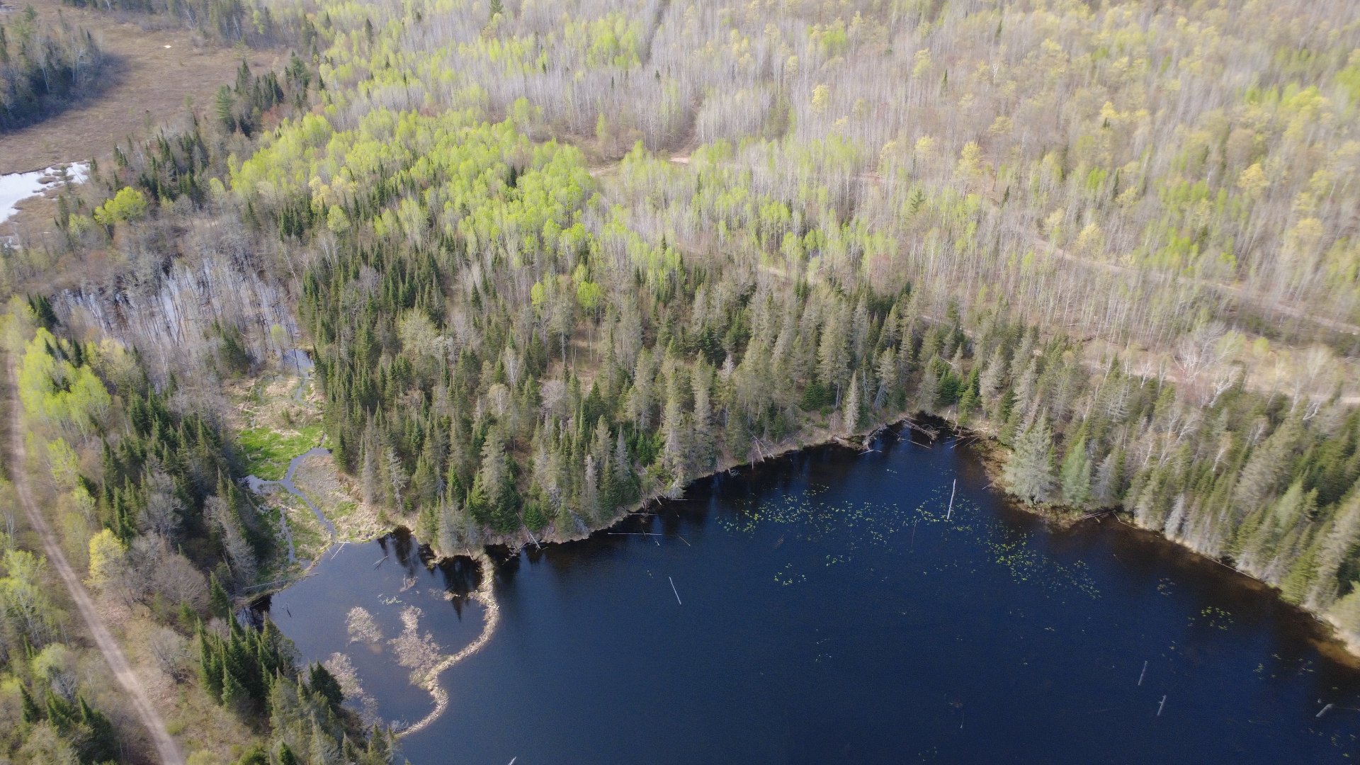 Aerial photo