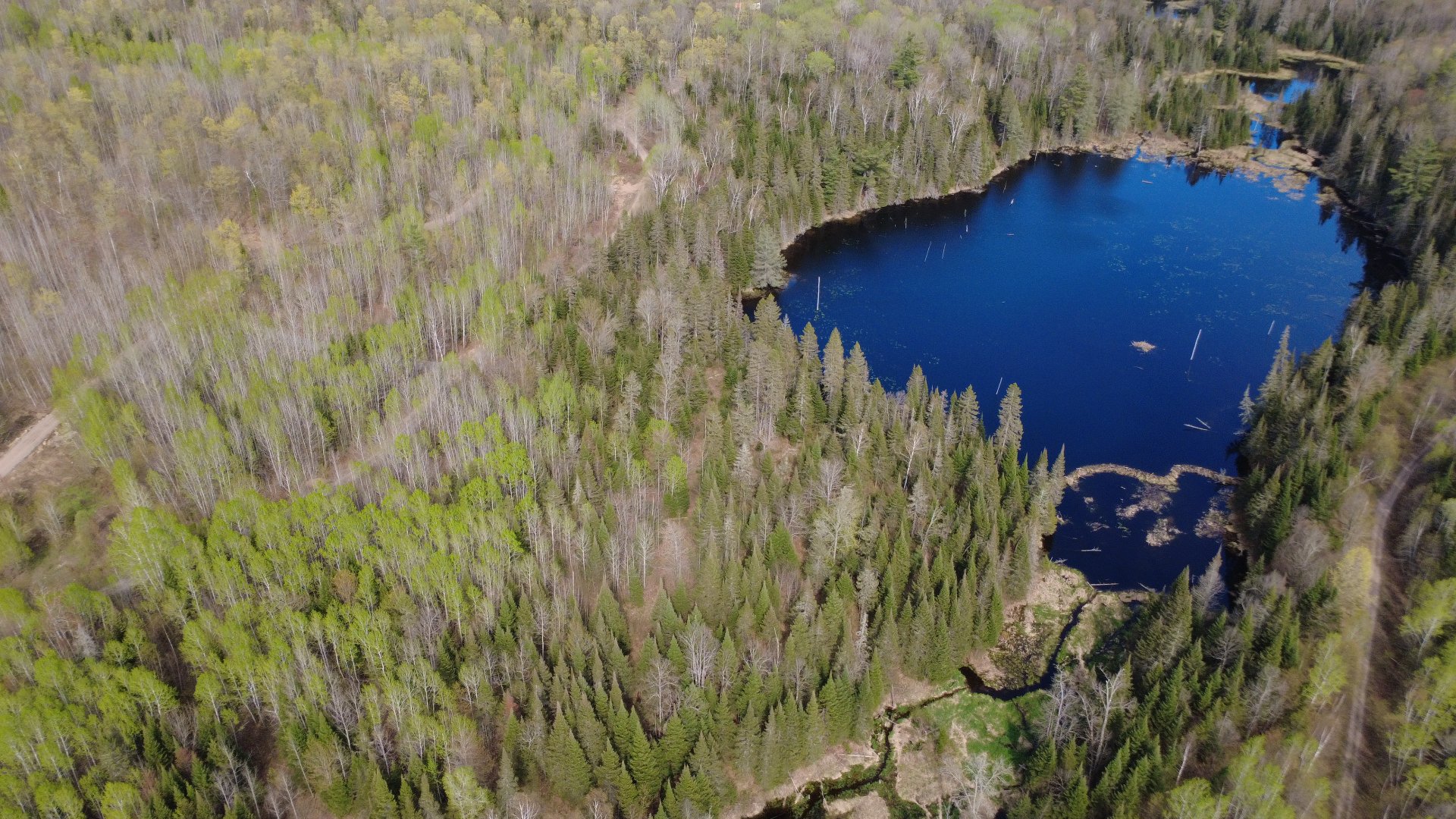 Aerial photo