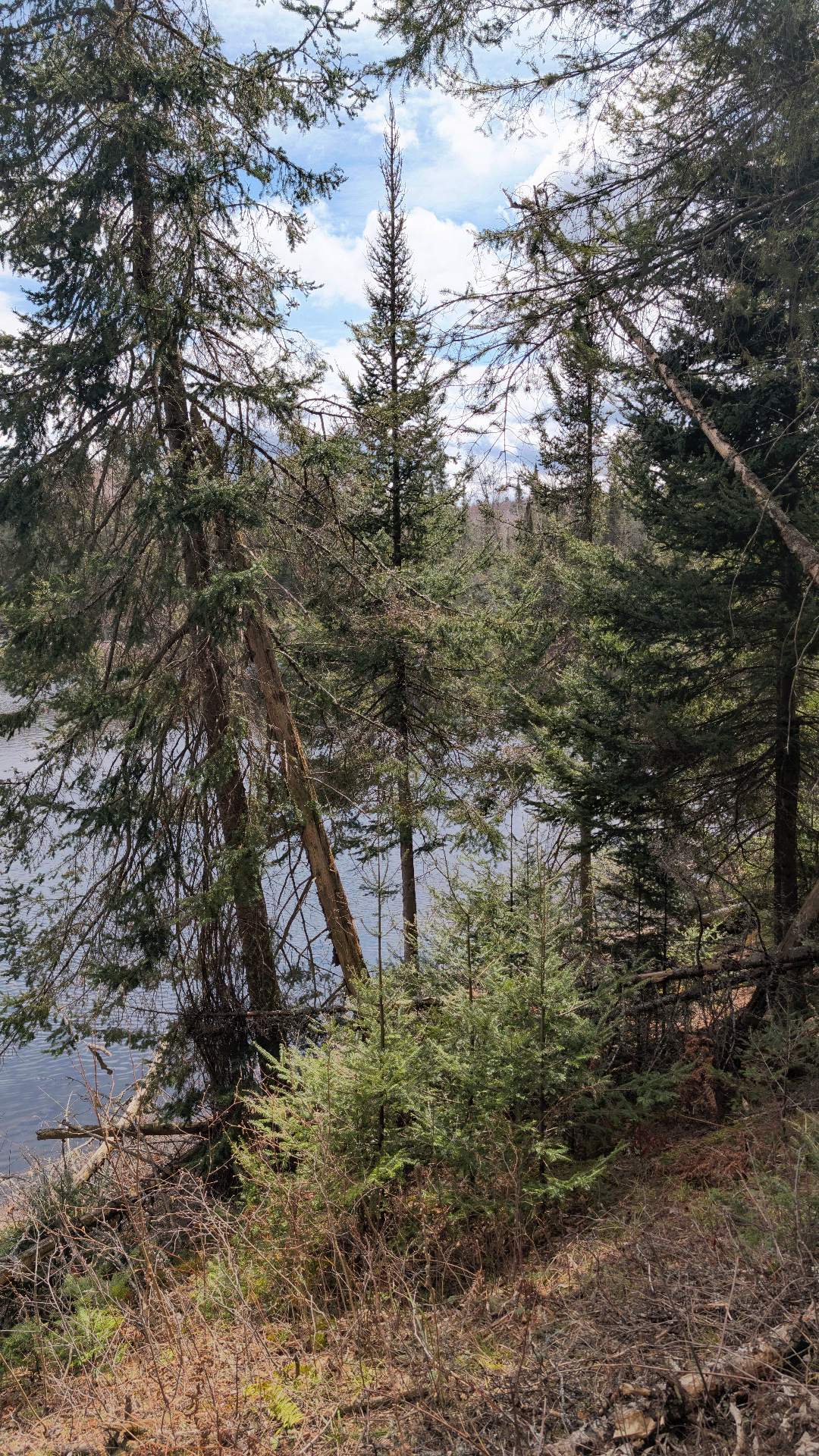 Water view