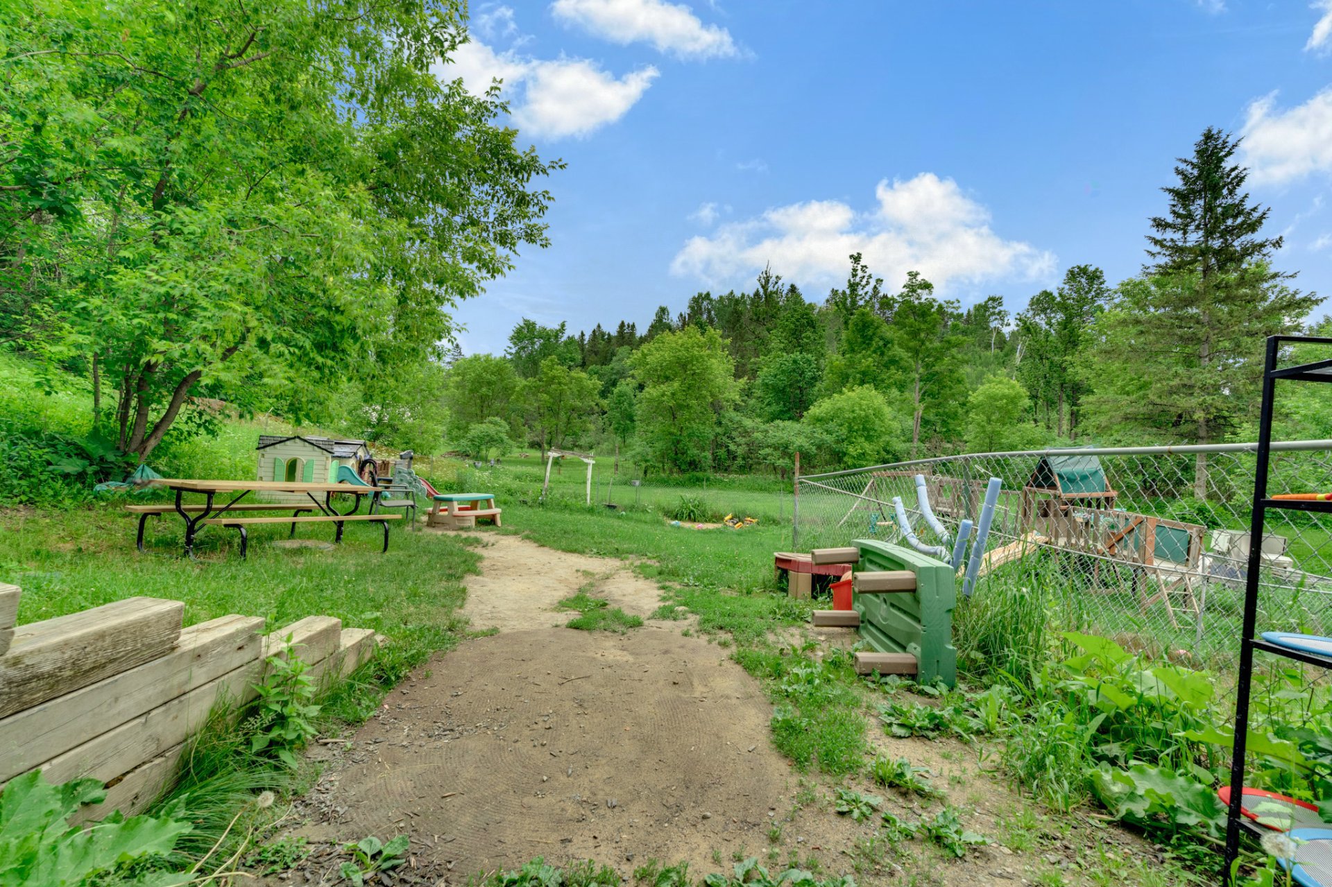 Backyard