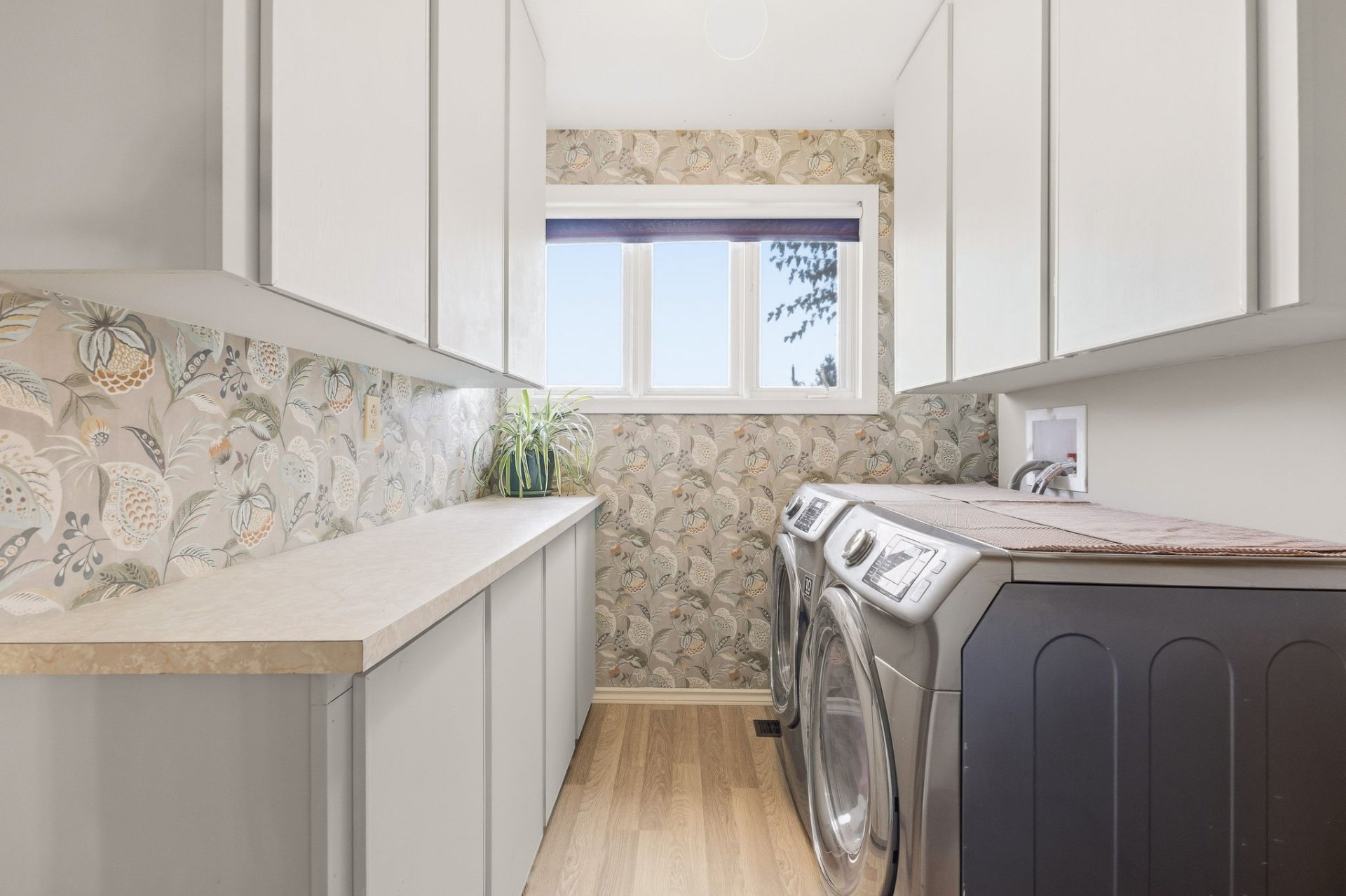 Salle de lavage