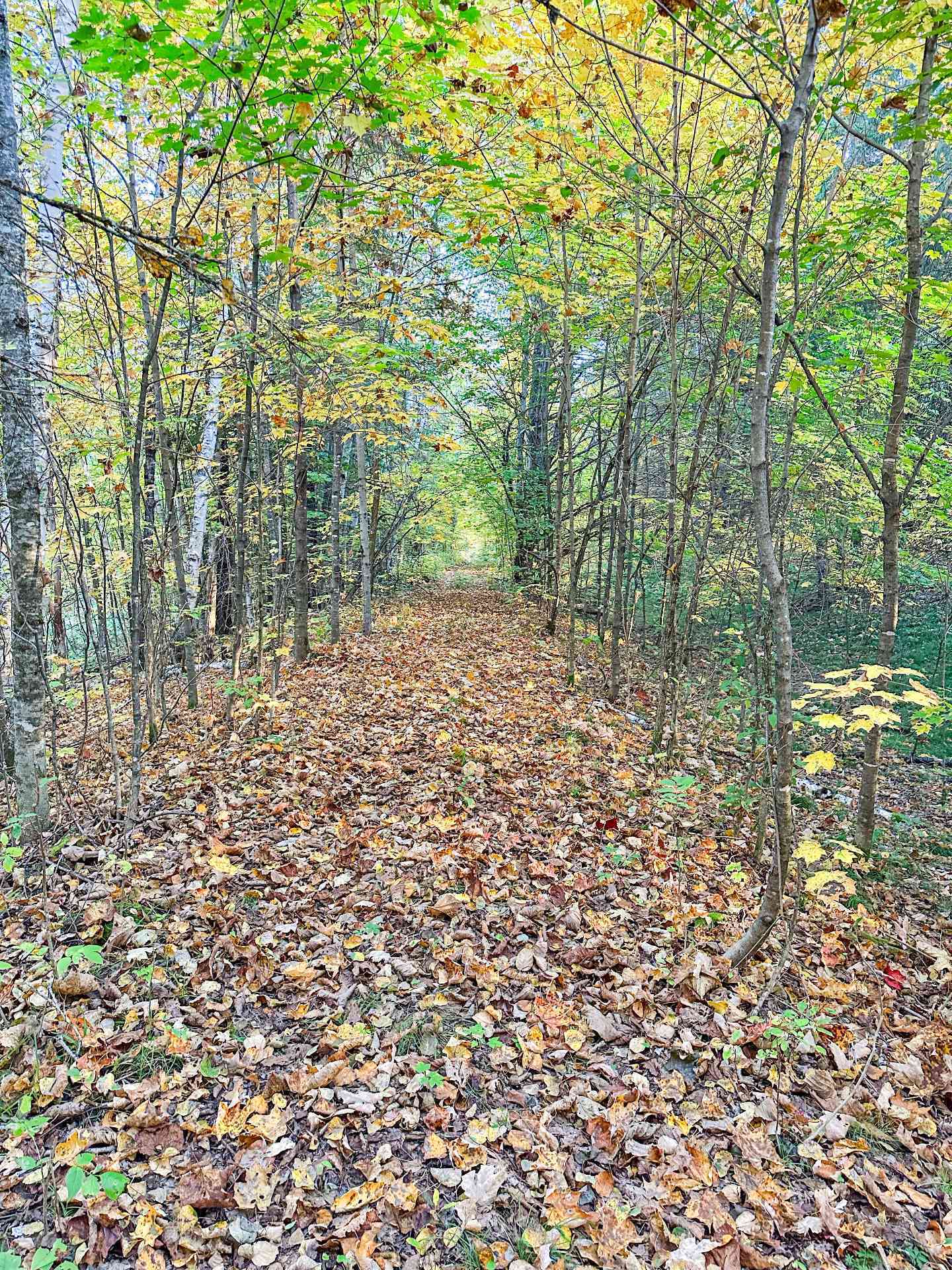 Land/Lot