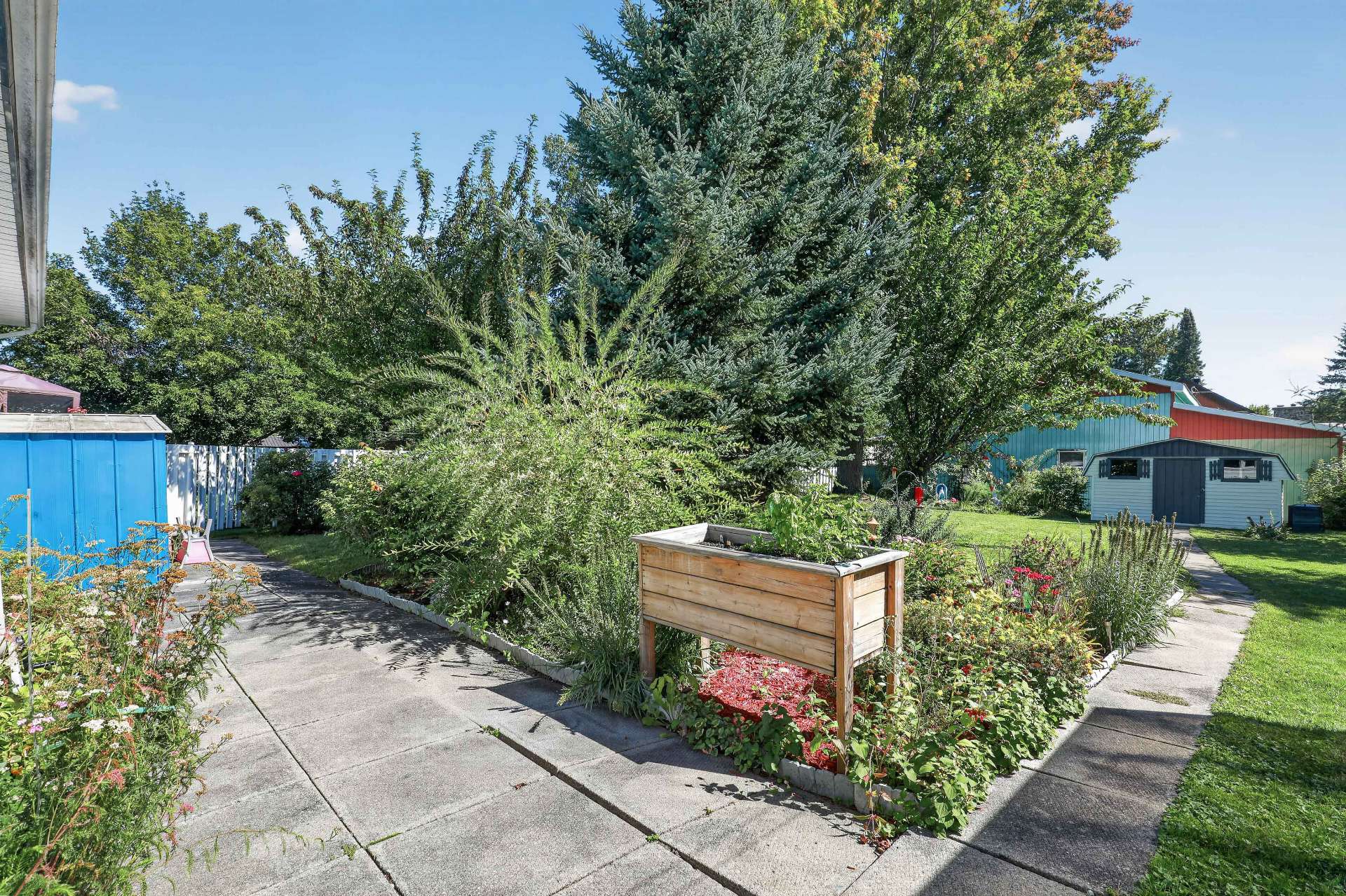Backyard