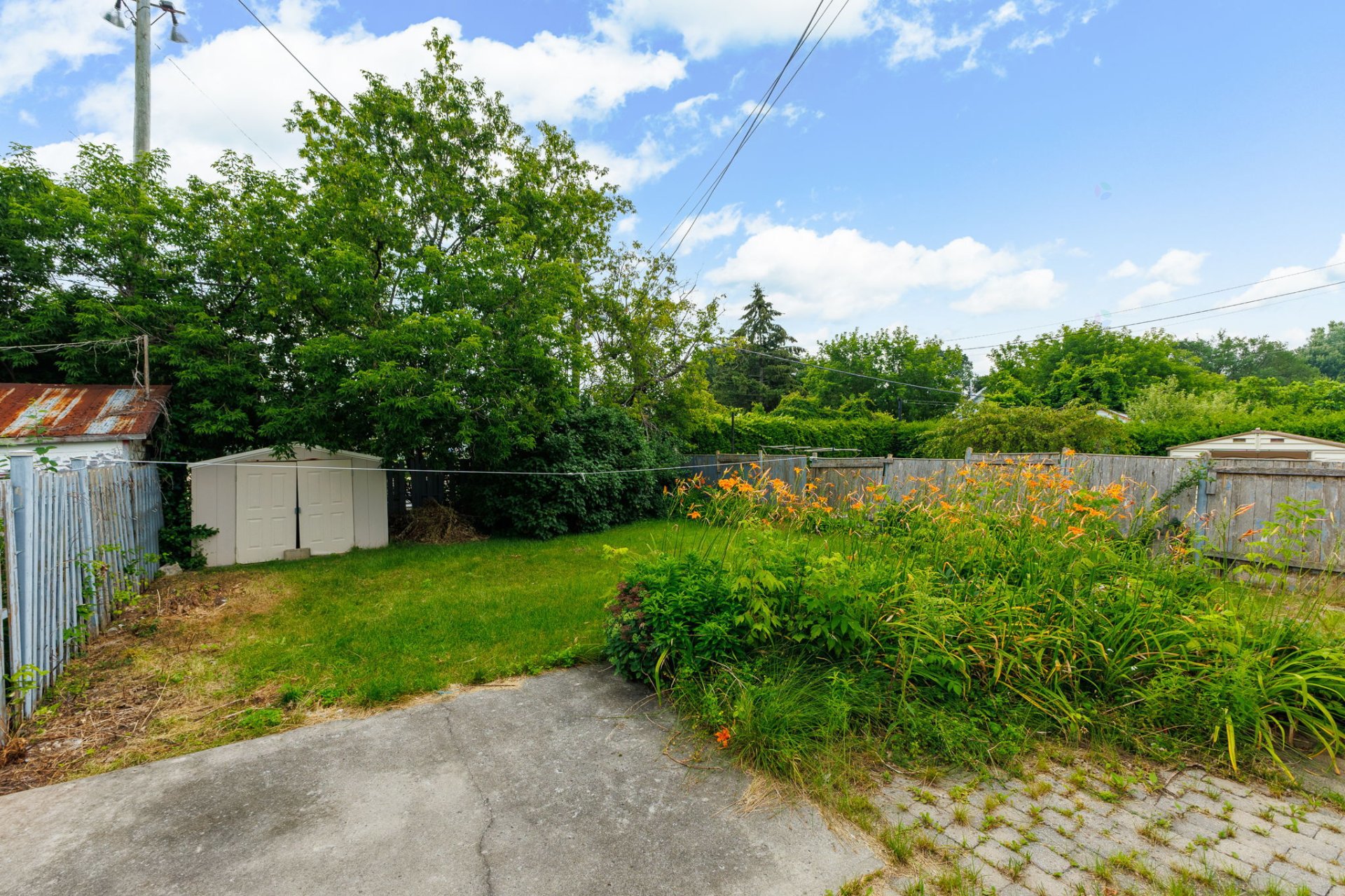 Backyard