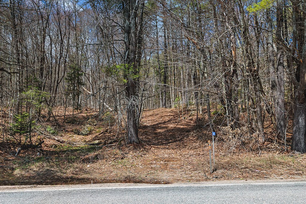 Land/Lot